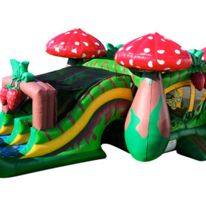 33ft Strawberry Combo